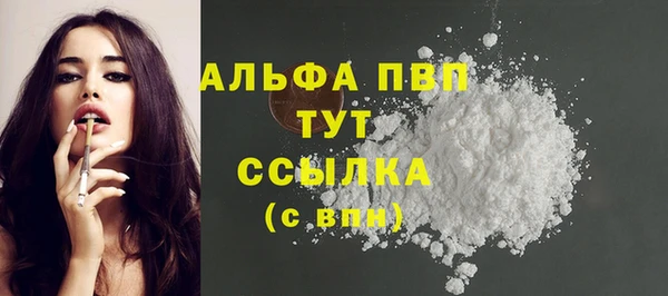 индика Верхний Тагил