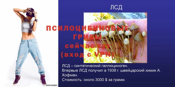 меф Вяземский