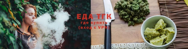 индика Верхний Тагил