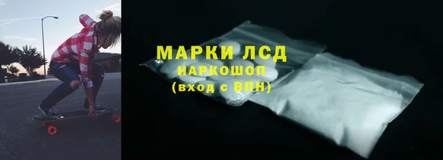 сатива Верея