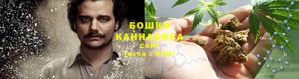 индика Верхний Тагил